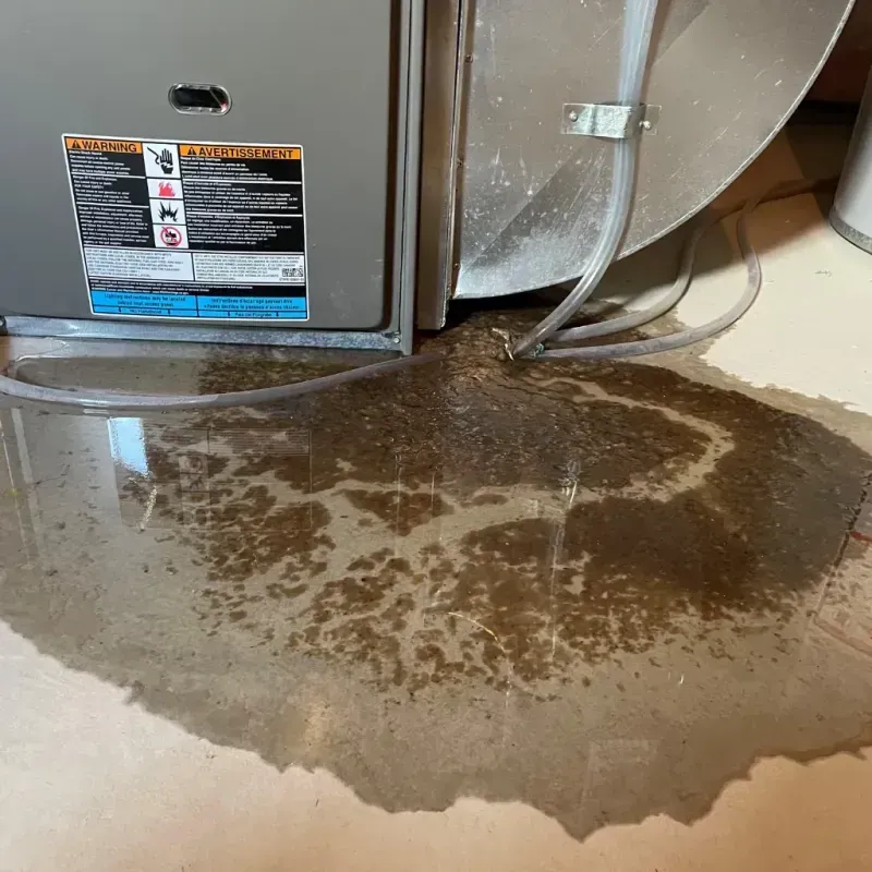 Appliance Leak Cleanup in Catlettsburg, KY